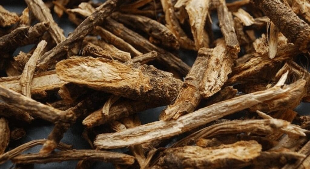 rễ cây phòng phòng khô